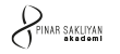 pinar-sakliyan-akademi